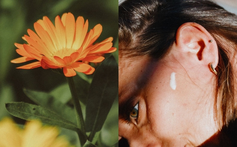 Diptyque du visage d'une femme avec de la crème Matière Brute Lab sur la joue et une fleur de calendula