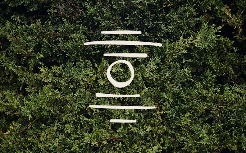 Un zoom brut sur du cyprès et le pictogramme apaiser