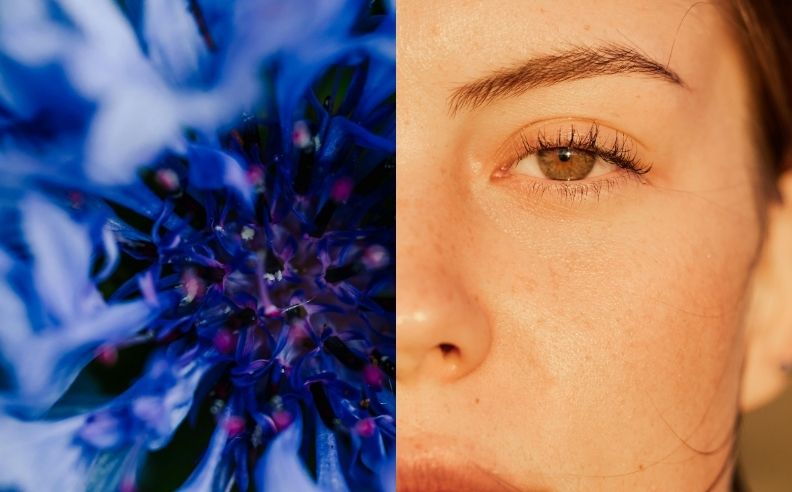 Diptyque d'un regard et d'une fleur de bleuet