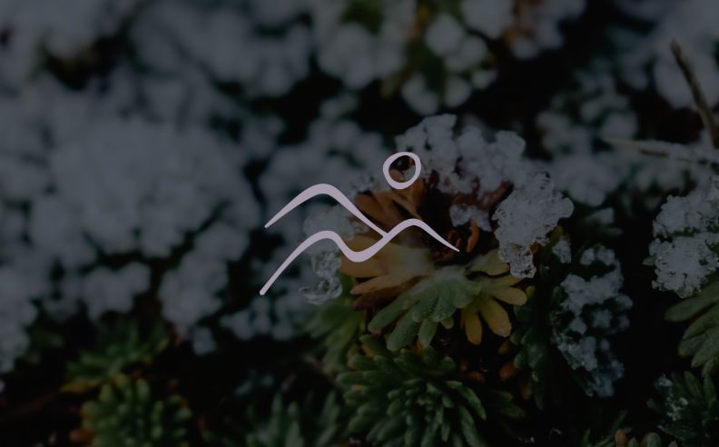 Zoom brut sur le pictogramme d'hiver