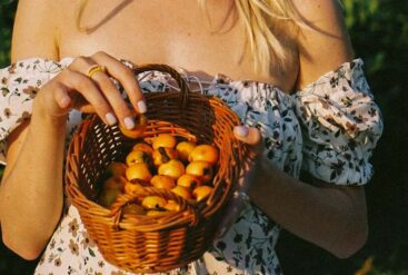 Zoom sur un panier remplit de mirabelle dans les bras d'une femme