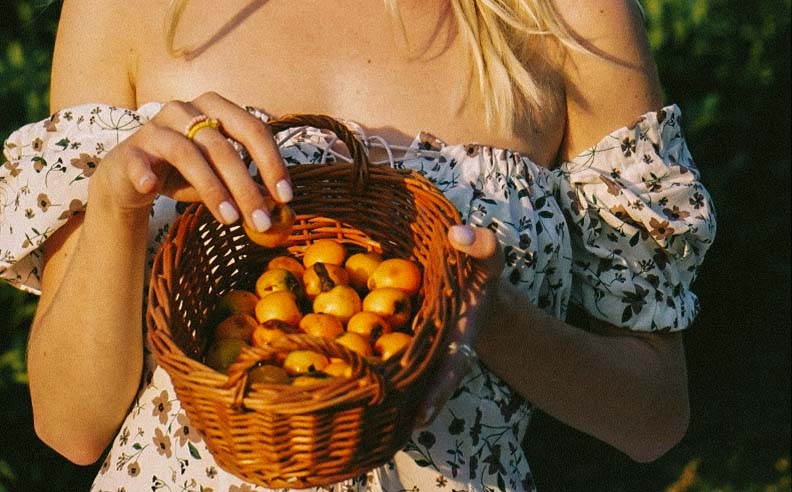 Zoom sur un panier remplit de mirabelle dans les bras d'une femme
