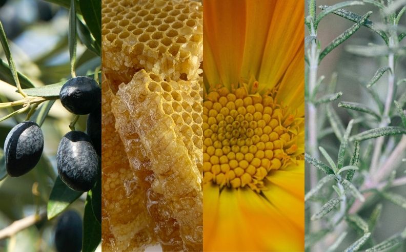 Un polyptyque de 4 ingrédients bruts et efficaces