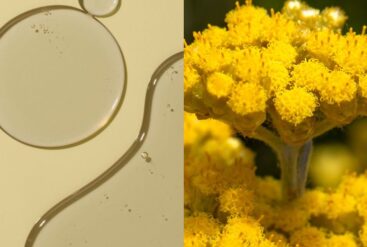 Diptyque d'immortelle et un zoom sur de l'huile