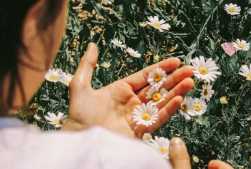 Zoom sur une femme qui ramasse des fleurs de camomille