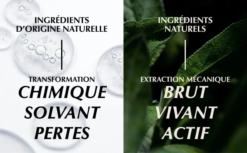 Un diptyque synthétique de la différence entre ingrédient naturel et d'origine naturelle