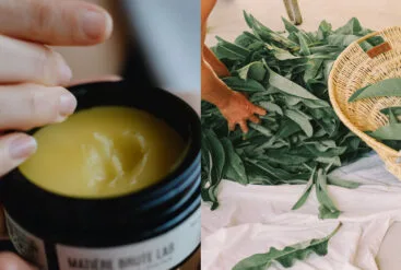 Diptyque sur le baume corps nourrissant et des feuilles de consoude