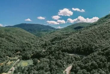 Photo d'un paysage préservé de production des matières premières