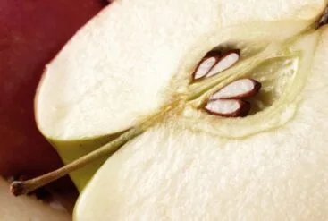 Zoom brut sur l'intérieur d'une pomme